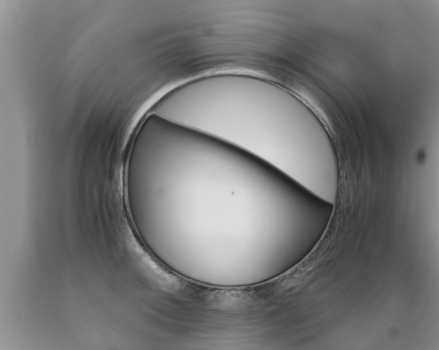 X0000089731092200706210911