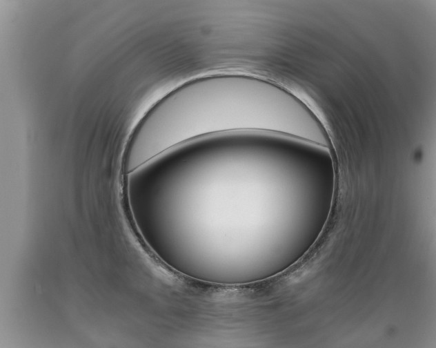 X0000089731093200706210911