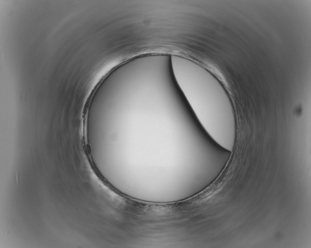 X0000089731095200706210911