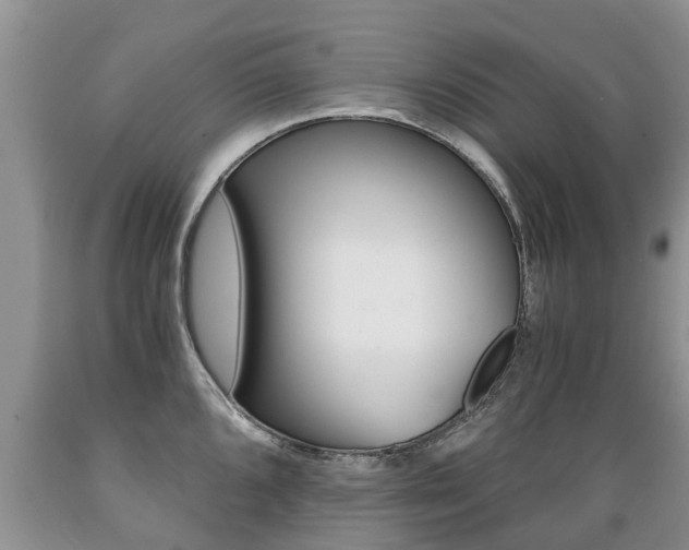 X0000089731096200706210911