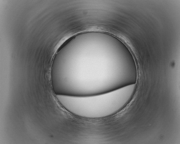 X0000089731097200706210911