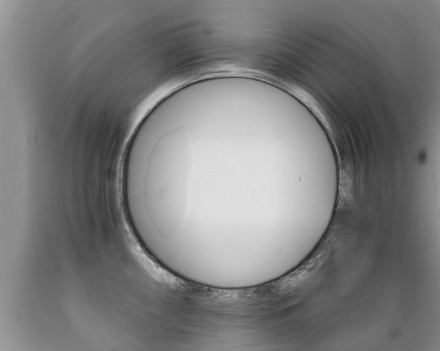 X0000089731098200706210911