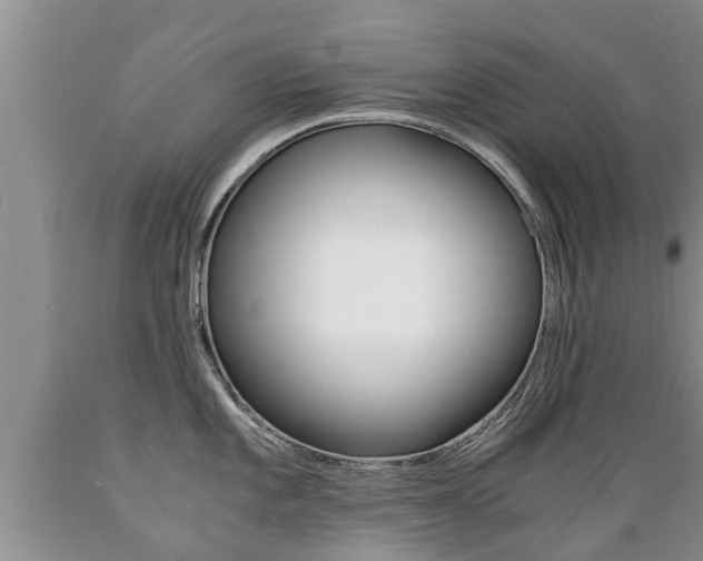 X0000089731101200706210911