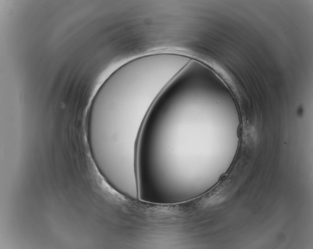 X0000089731102200706210911