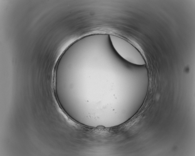 X0000089731103200706210911