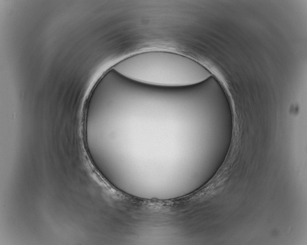 X0000089731104200706210911
