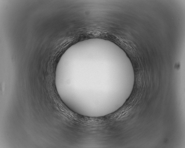 X0000089731105200706210910