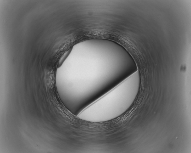 X0000089731107200706210910