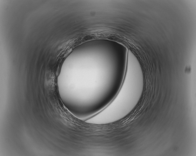 X0000089731108200706210910