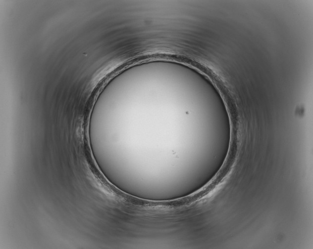X0000089731113200706210910