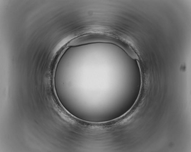X0000089731114200706210910