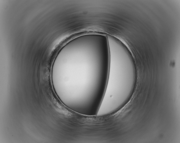 X0000089731115200706210910