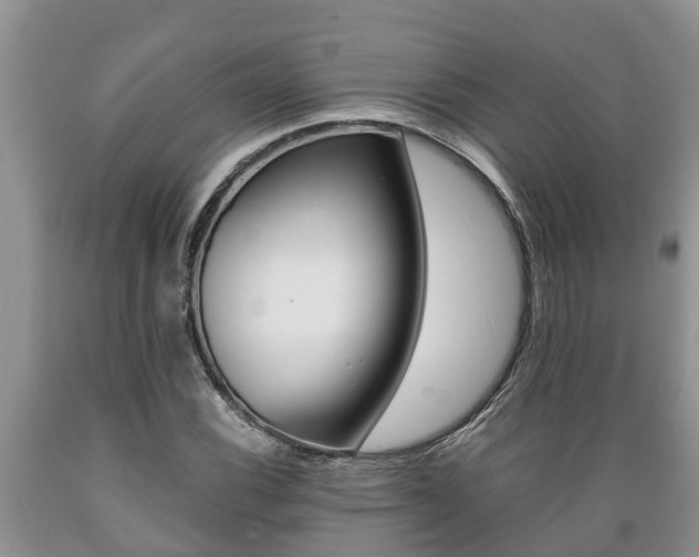 X0000089731116200706210910