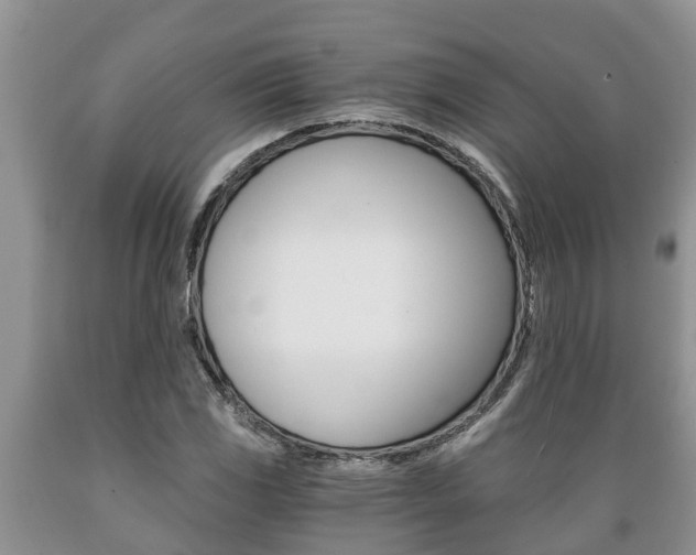 X0000089731117200706210910