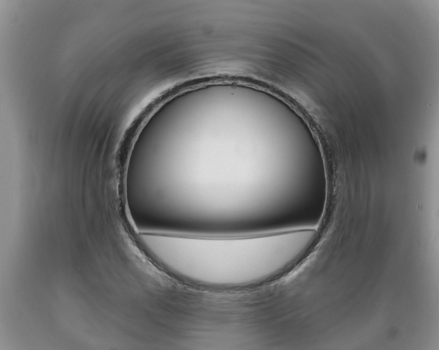 X0000089731118200706210910