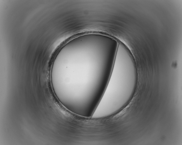 X0000089731119200706210910