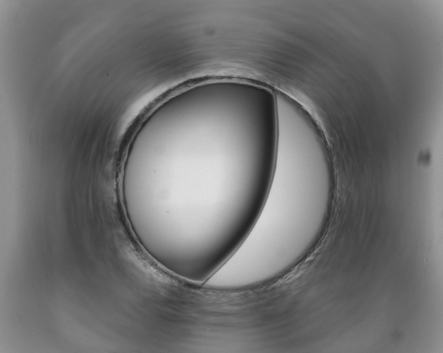 X0000089731120200706210910