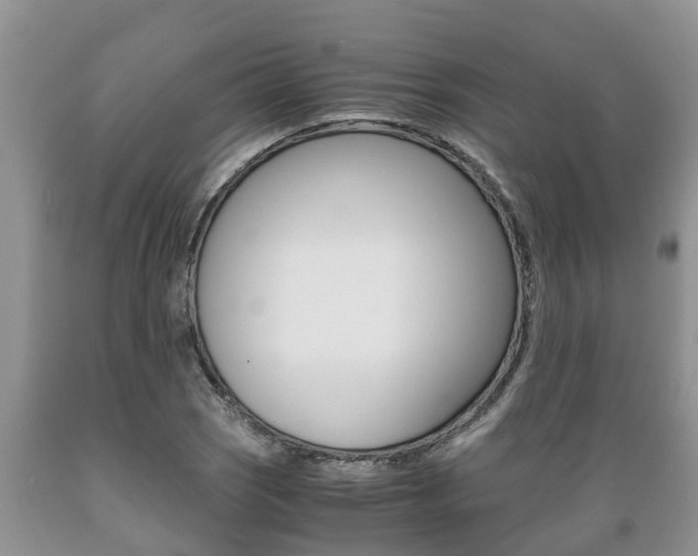 X0000089731121200706210910
