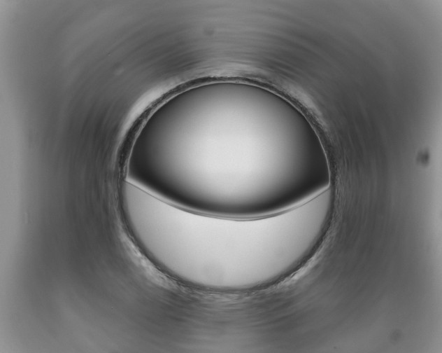 X0000089731122200706210910