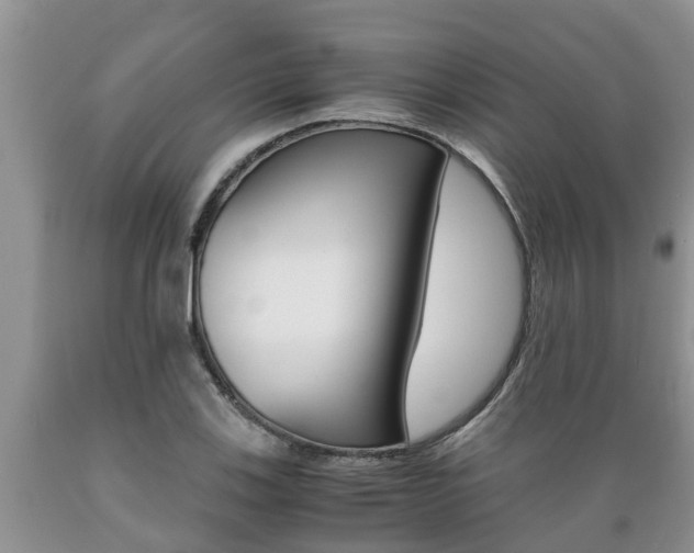 X0000089731123200706210910