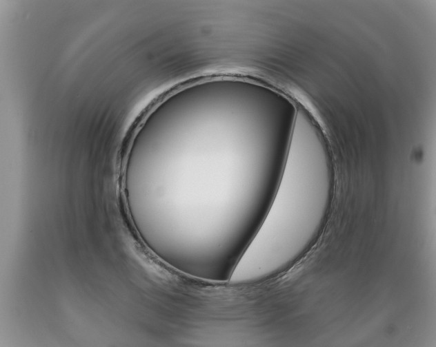 X0000089731124200706210910