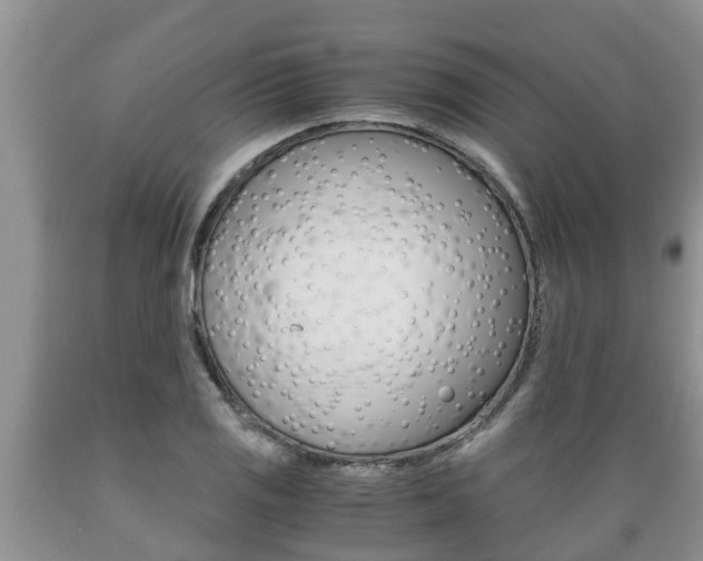 X0000089731125200706210910