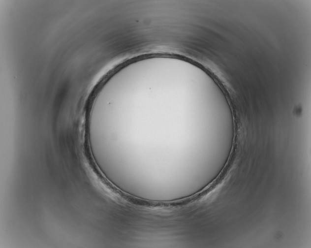 X0000089731126200706210910
