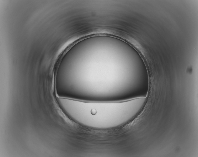 X0000089731127200706210910