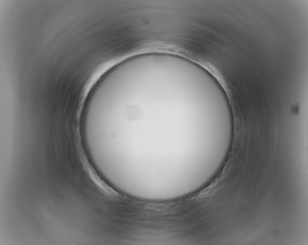 X0000089731128200706210910