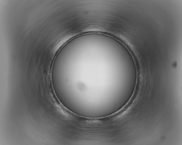 X0000089731129200706210910