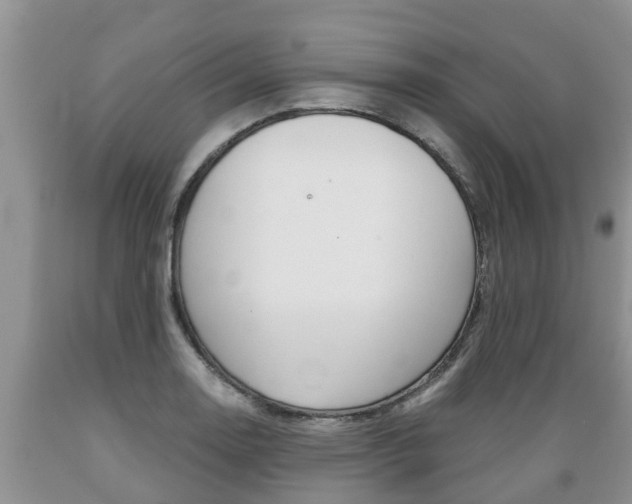 X0000089731130200706210910