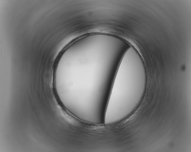 X0000089731131200706210910