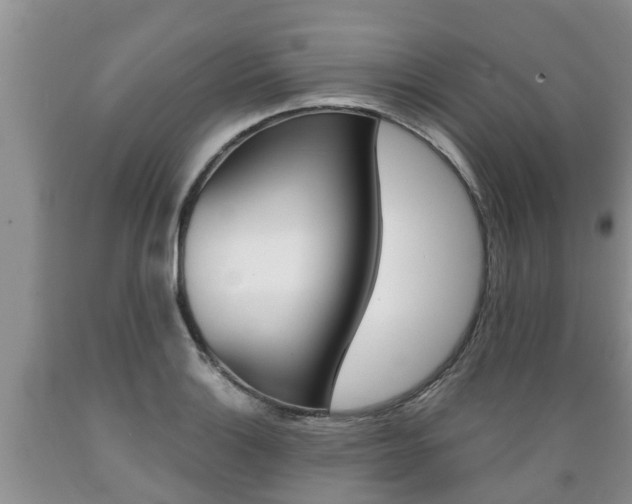 X0000089731132200706210910