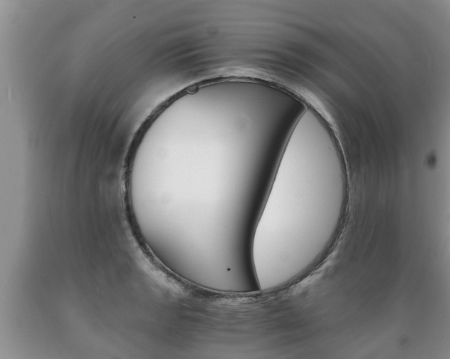 X0000089731133200706210910