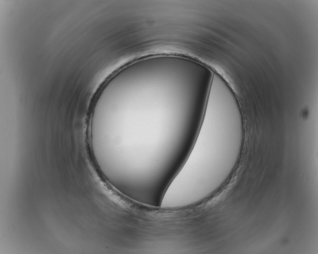 X0000089731134200706210910