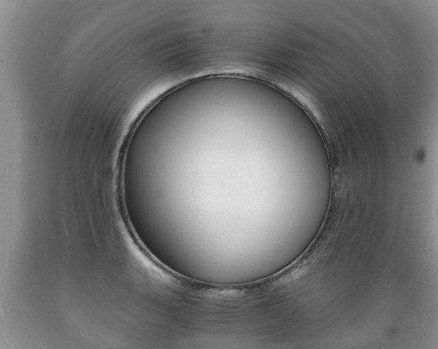 X0000089731135200706210910