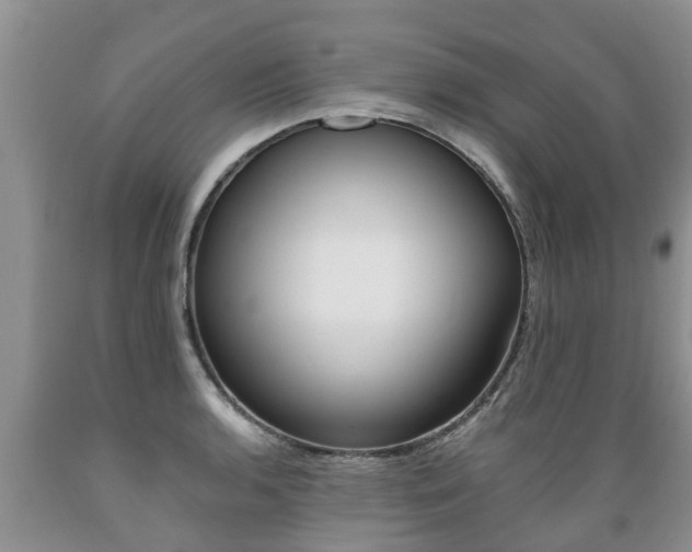 X0000089731136200706210910