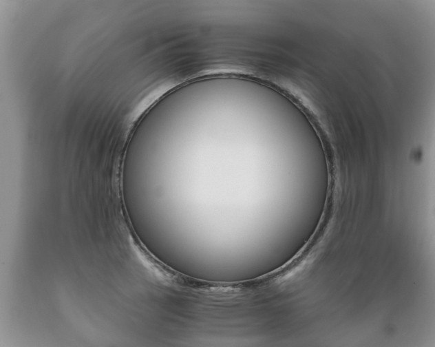 X0000089731137200706210910