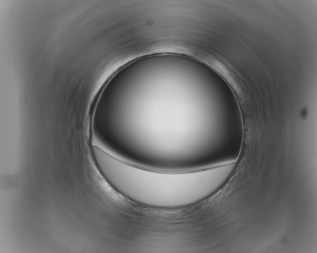 X0000089731140200706210911