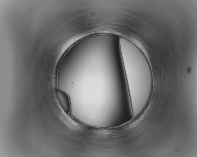 X0000089731141200706210911