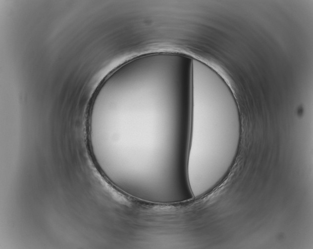 X0000089731142200706210911