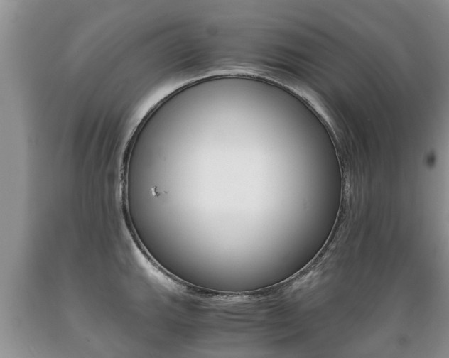 X0000089731143200706210911