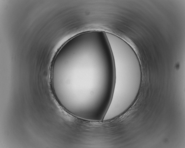 X0000089731144200706210911
