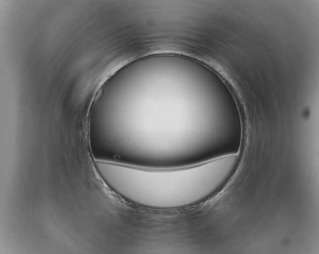 X0000089731145200706210911