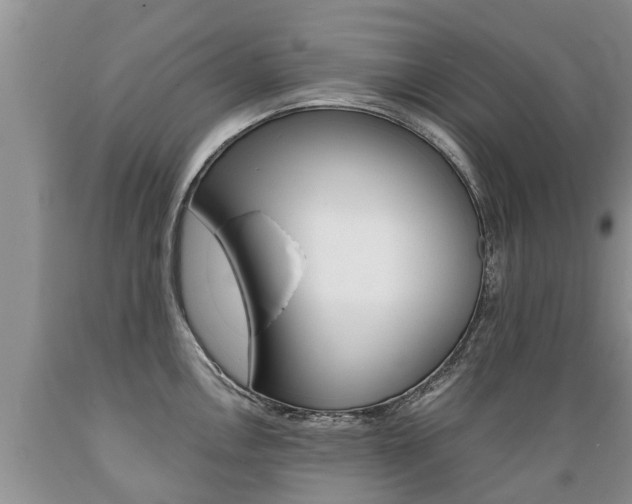 X0000089731146200706210911