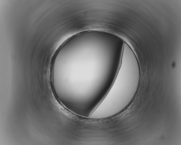 X0000089731147200706210911