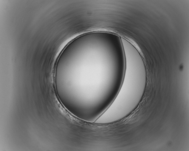 X0000089731148200706210911