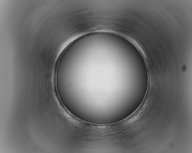 X0000089731149200706210911