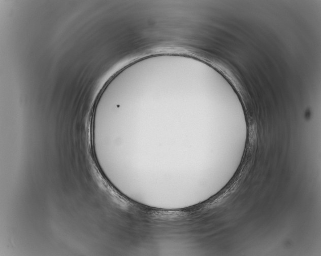 X0000089731150200706210911