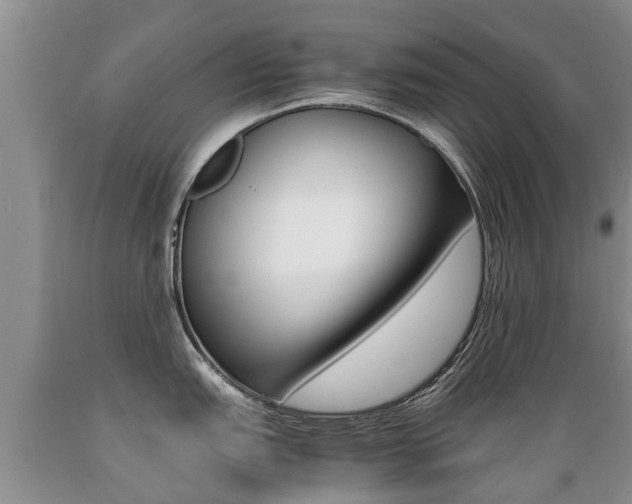 X0000089731151200706210911